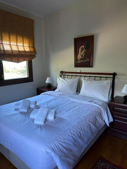 Villa_Kleio Litóchoron Dış mekan fotoğraf
