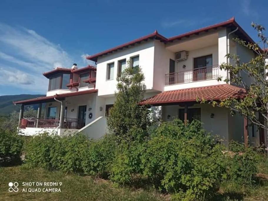 Villa_Kleio Litóchoron Dış mekan fotoğraf